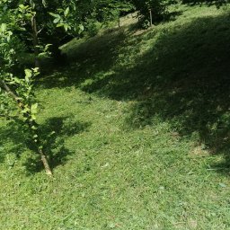 LPO-PK Las Park Ogród Usługi Ogrodnicze - Świeżo skoszona trawa na zboczu, z widocznym fragmentem kosiarki, drzewem owocowym w tle i resztkami ściętej trawy.