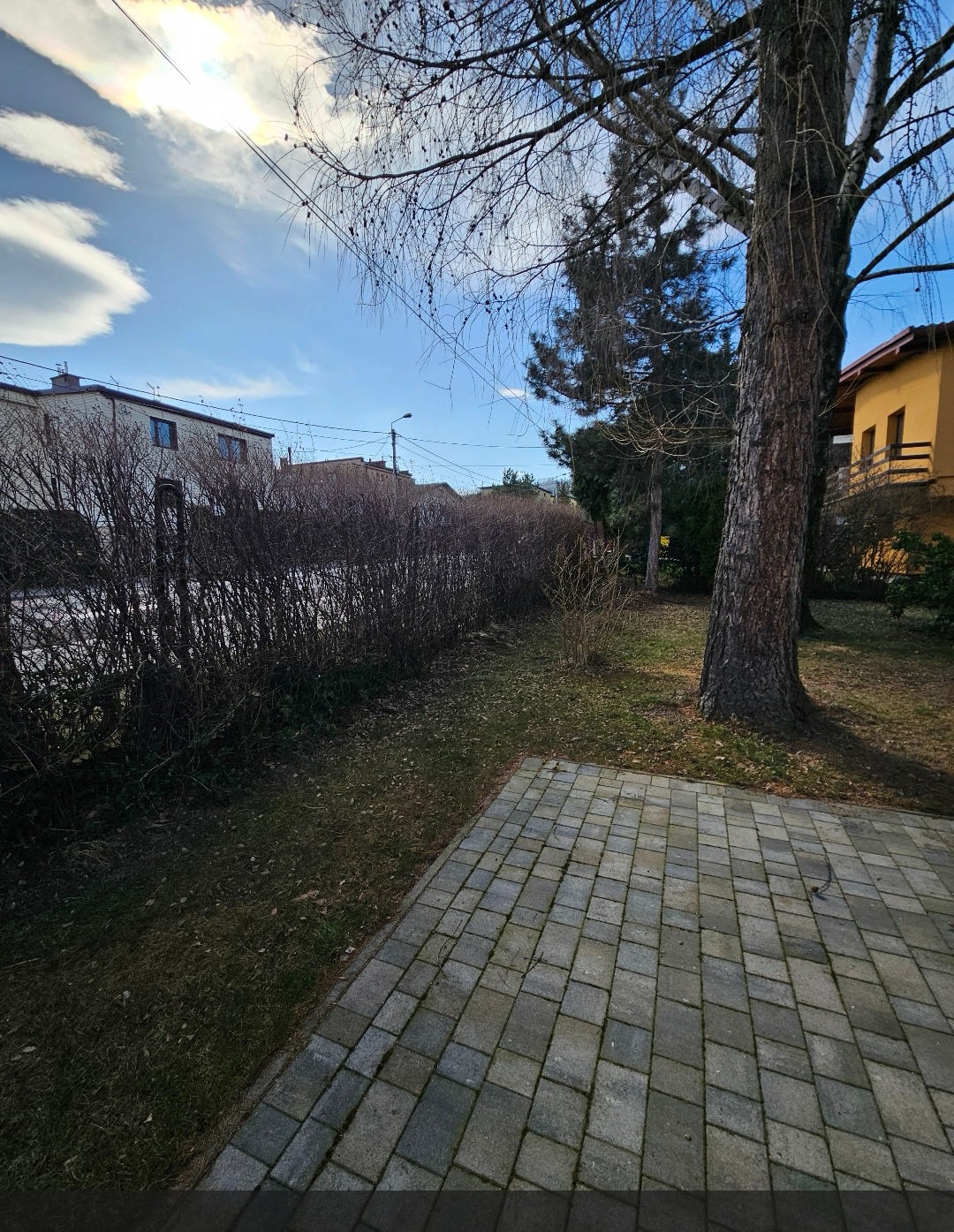 Ogród z widoczną kostką brukową, obrzeżem z krzewów i drzewem, w tle budynki mieszkalne pod błękitnym niebem.
