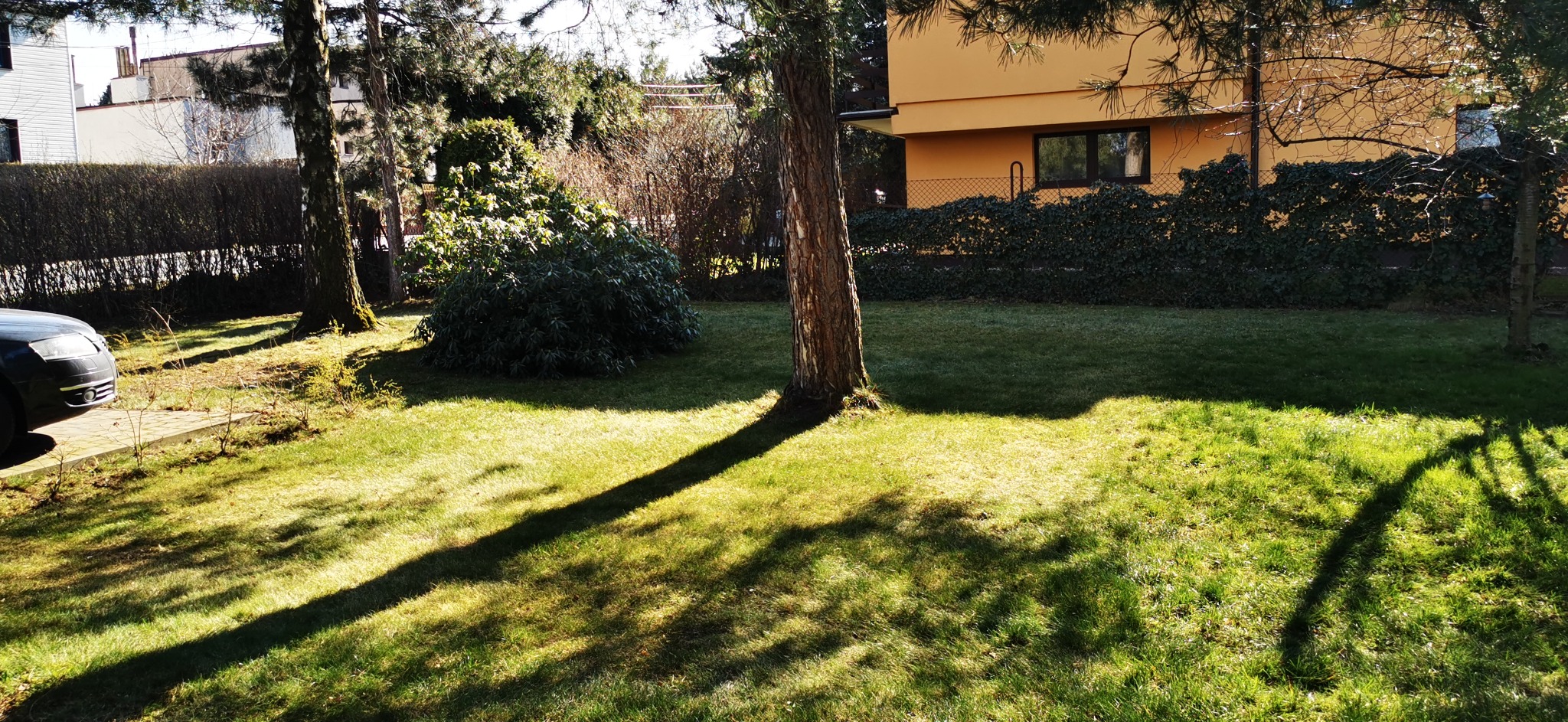 Starannie utrzymany trawnik przed domem z równo przyciętą trawą, ozdobnymi krzewami i drzewami, częściowo zacieniony przez drzewo, z widocznym fragmentem samochodu po lewej stronie.