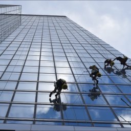 LA Project - Dekarz Warszawa