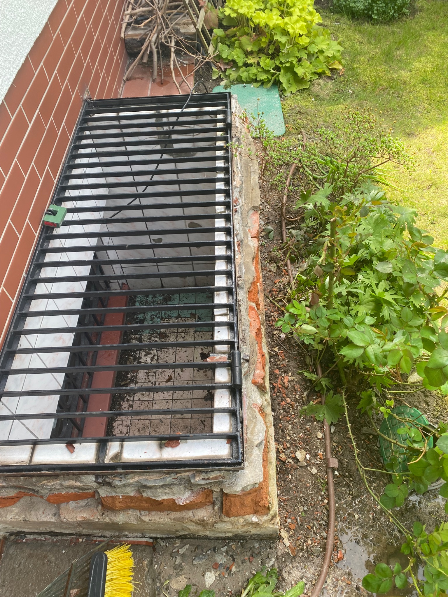 Zabezpieczone okno piwniczne z metalową kratą, widoczne uszkodzenia muru i fragment brudnej podłogi piwnicy, obok rosną rośliny.