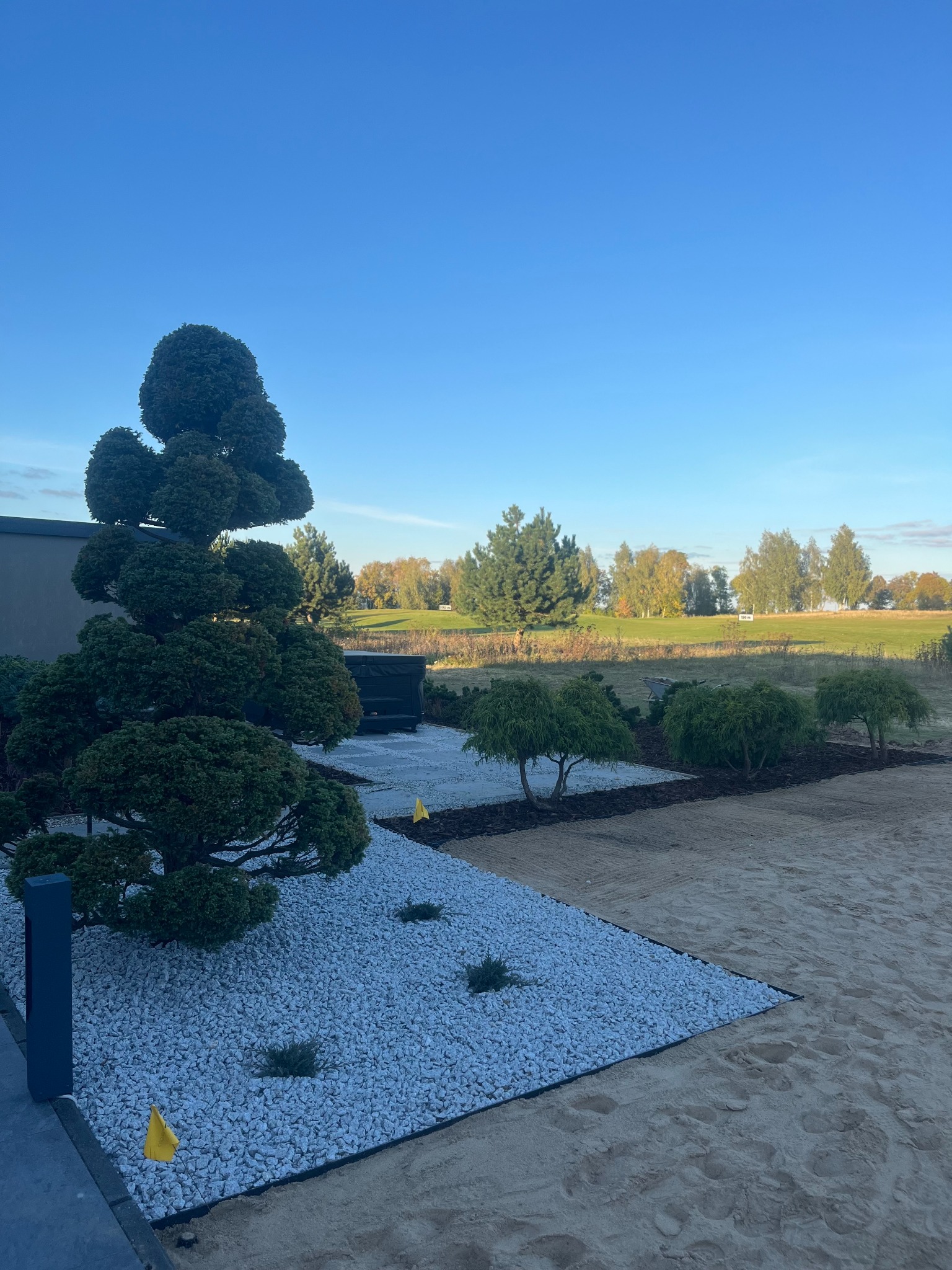 Starannie zaprojektowany ogród z formowanymi drzewami, białym żwirem i korą. W tle pole golfowe pod błękitnym niebem.