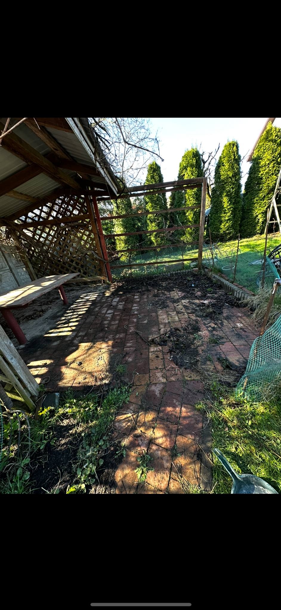 Zabrudzona kostka brukowa na tarasie z zadaszeniem, widoczne ślady ziemi i roślin, tło z tujami. Czekający na mycie taras.