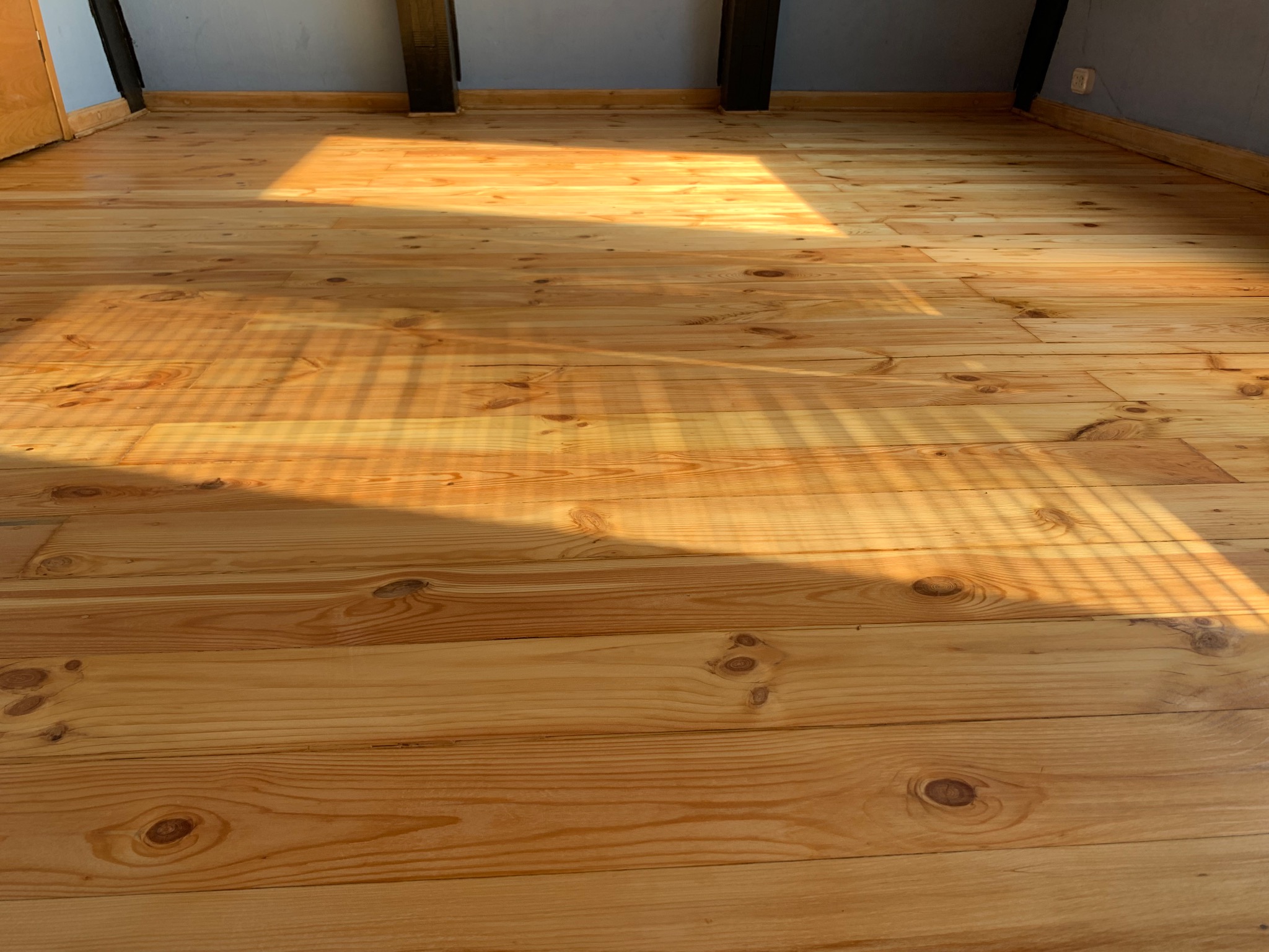 Świeżo położona podłoga z jasnego drewna, widoczne słońce padające na deski, ukazujące naturalny rysunek drewna i sęki.