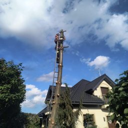 Wycinka drzew metodą sekcyjną przy zabudowaniach – bezpiecznie i precyzyjnie.