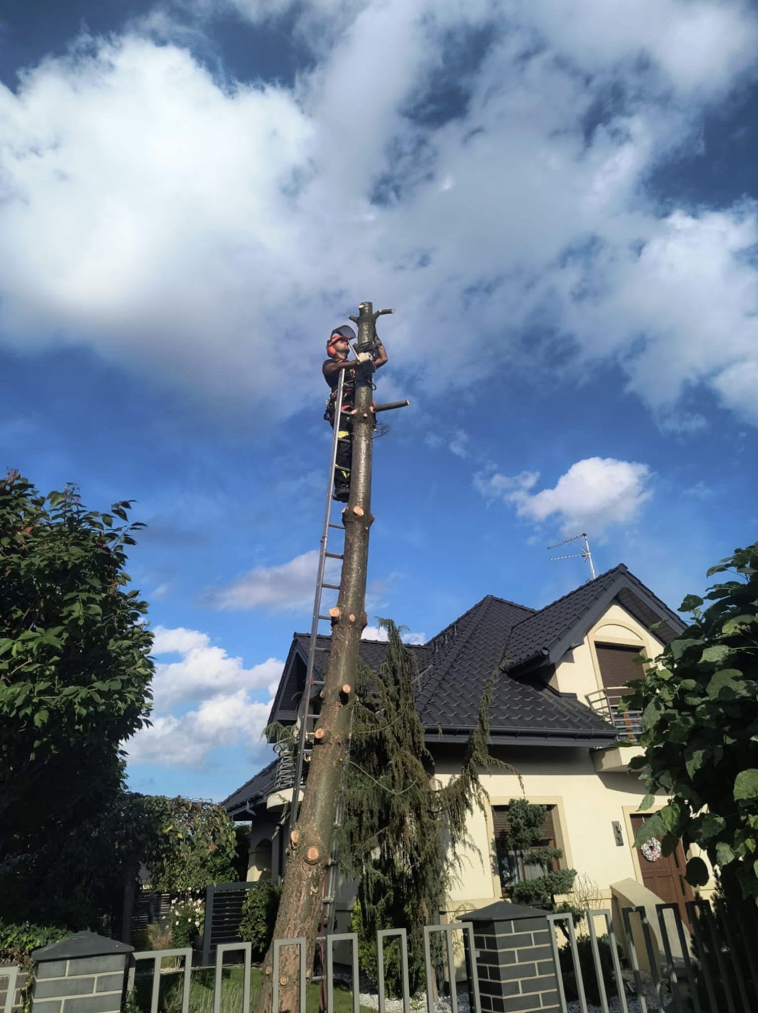 Wycinka drzew metodą sekcyjną przy zabudowaniach – bezpiecznie i precyzyjnie.