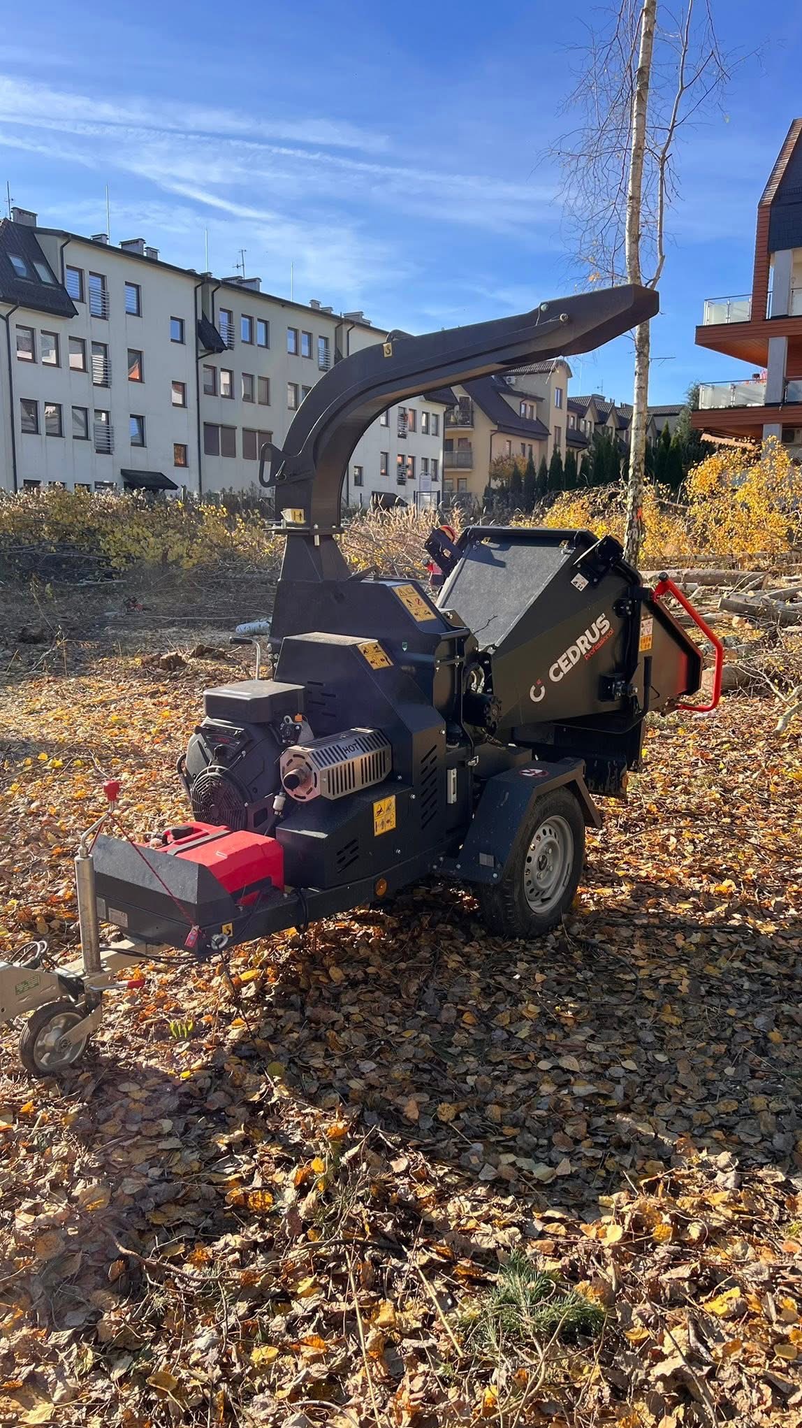 Rozdrabnianie gałęzi – rębak Cedrus + wywóz biomasy.