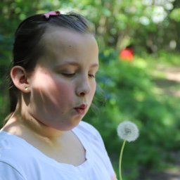 Fotograf ślubny Polkowice 2