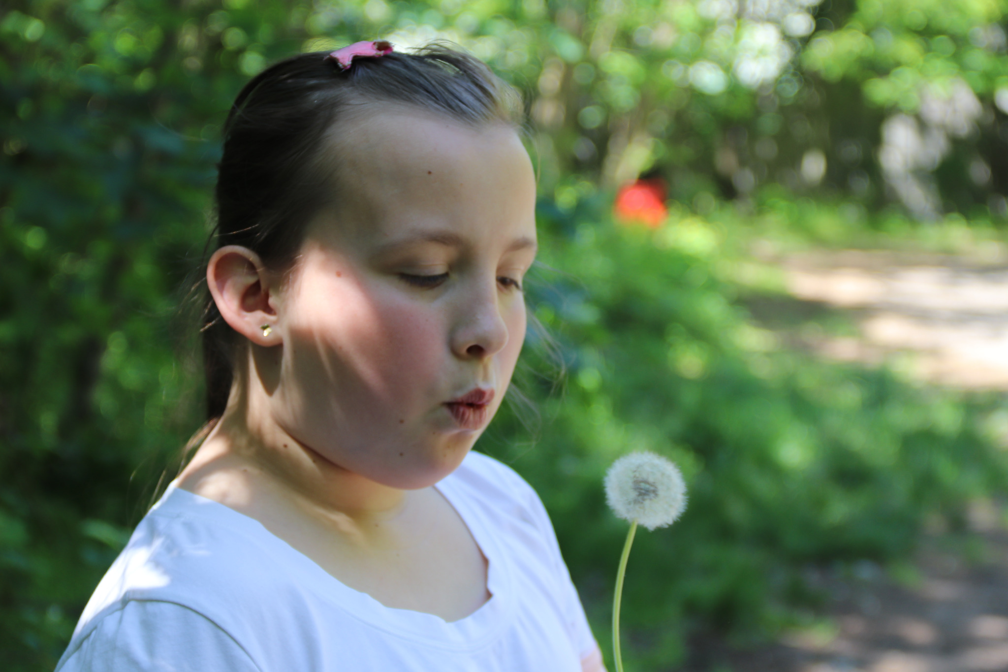 Dziewczynka z różową spinką dmucha na dmuchawca na tle zieleni.