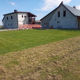 JAROSŁAW KOŚMICKI - Połowa trawnika z zieloną trawą z rolki, a druga połowa z brązową, wysuszoną trawą, dwa budynki mieszkalne w tle.