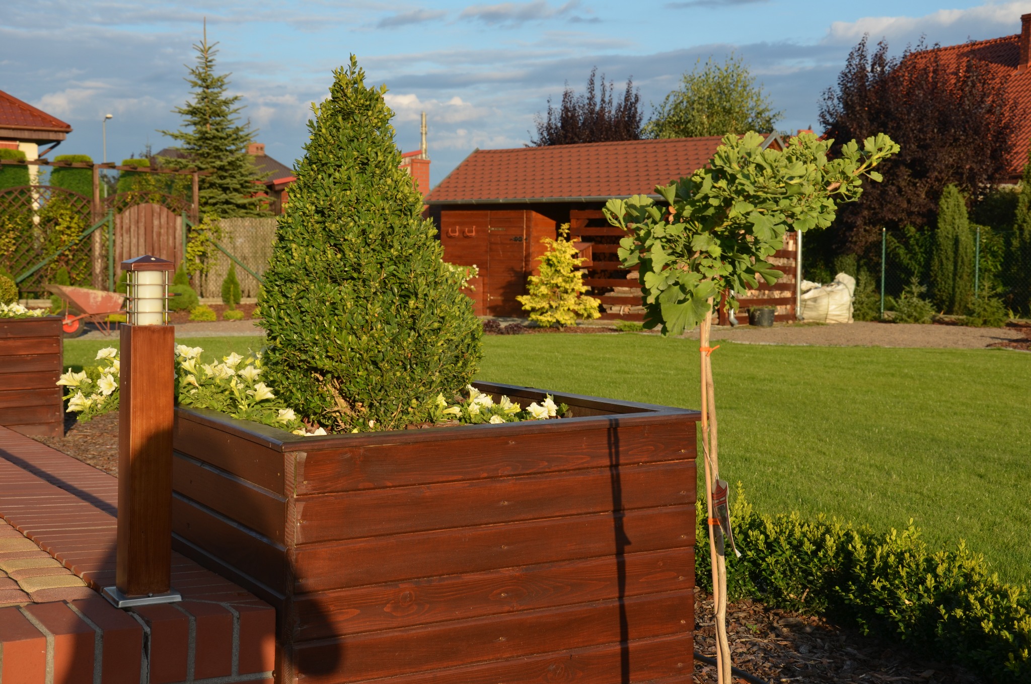 Ogród przydomowy z drewnianymi donicami, w których posadzono iglaka i białe kwiaty, oświetlenie ogrodowe w postaci drewnianego słupka z lampą, trawnik i drzewa w tle.