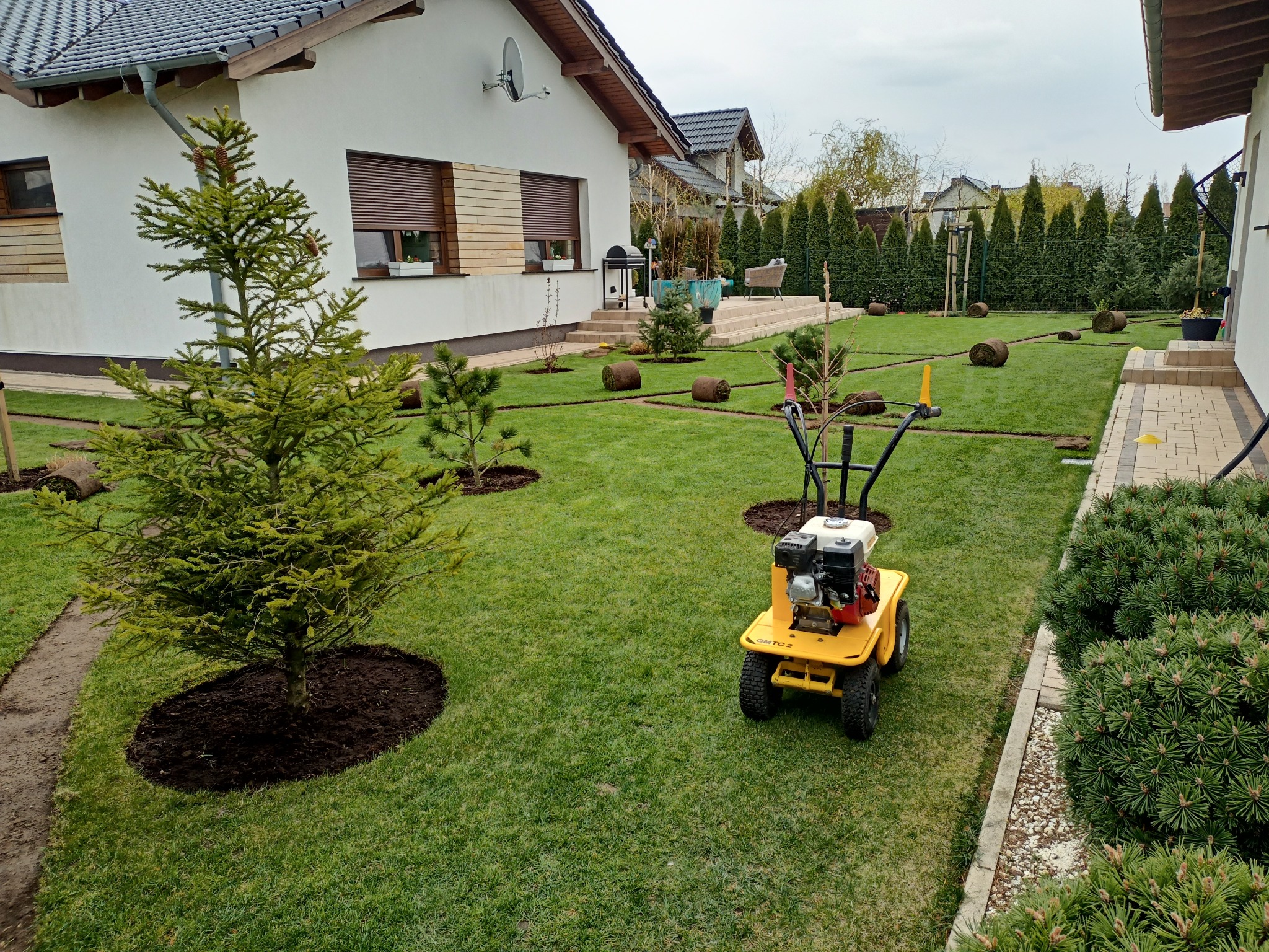 Świeżo ułożona trawa w rolkach na posesji z posadzonymi drzewkami iglastymi, widoczna żółta maszyna do trawy i schludna architektura domu w tle.