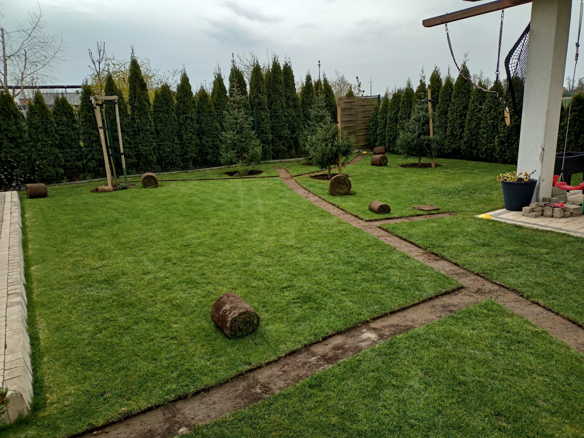 Układanie trawy z rolki w ogrodzie, widoczne przygotowane ścieżki i rozłożone rolki trawy, w tle rząd tuj.
