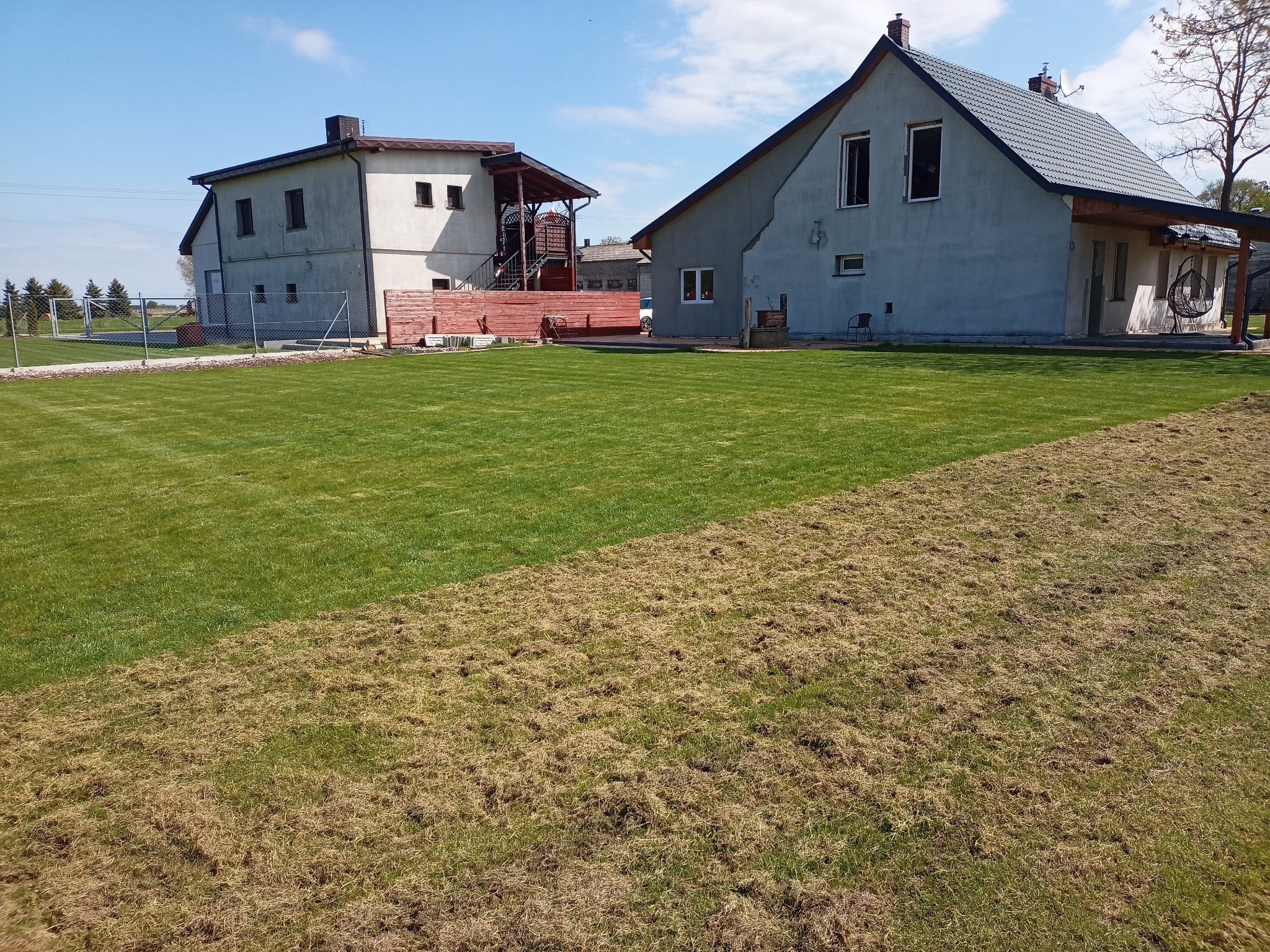Połowa trawnika z zieloną trawą z rolki, a druga połowa z brązową, wysuszoną trawą, dwa budynki mieszkalne w tle.