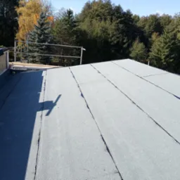 Płaski dach pokryty papą termozgrzewalną na tle drzew. Widoczne zabezpieczenia na krawędzi dachu i fragment poszycia z płyt OSB. Jasne, naturalne światło słoneczne.