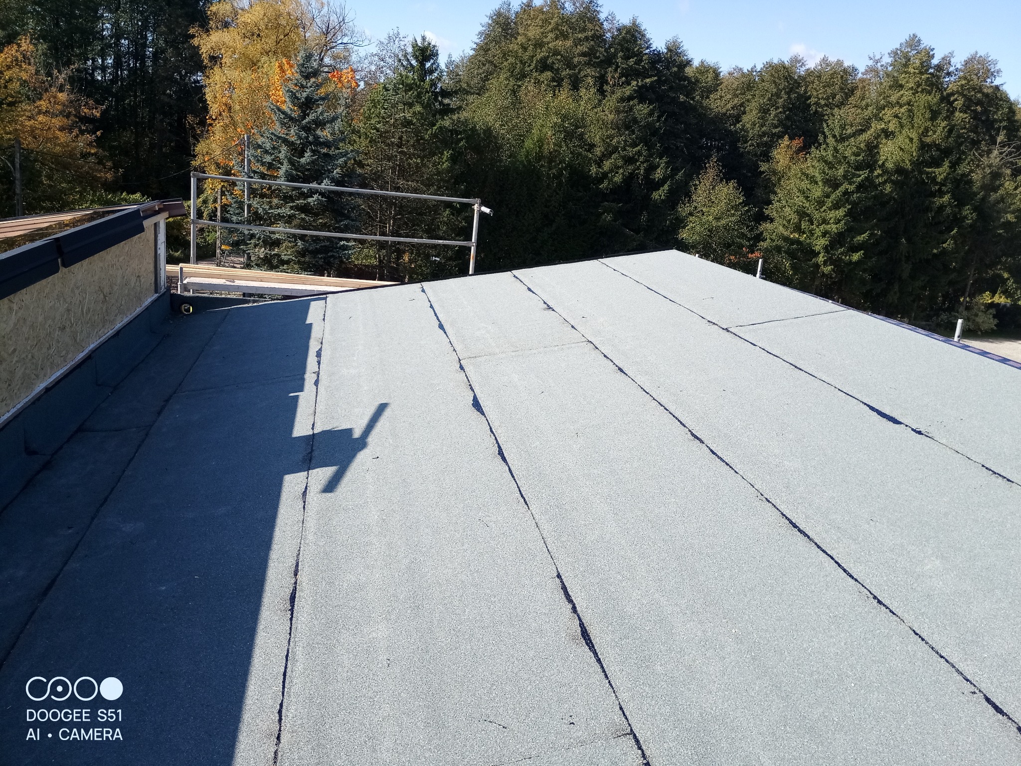 Płaski dach pokryty papą termozgrzewalną na tle drzew. Widoczne zabezpieczenia na krawędzi dachu i fragment poszycia z płyt OSB. Jasne, naturalne światło słoneczne.