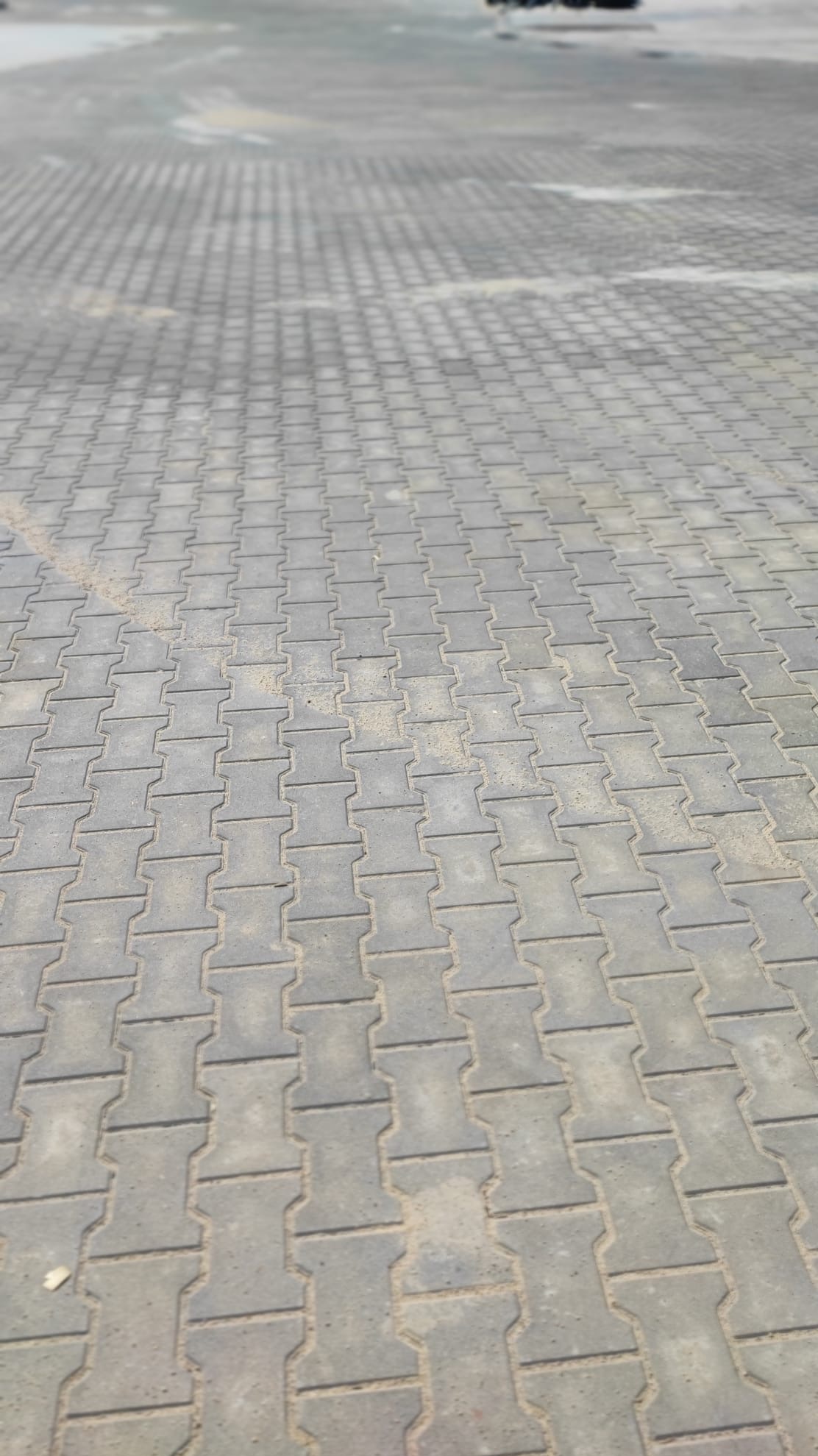 Szara kostka brukowa ułożona w jodełkę na dużej powierzchni, widoczne ślady piasku w spoinach, perspektywa z dołu do góry.