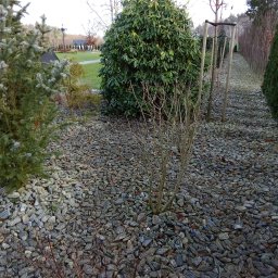 Montaż ogrodzeń Banino 4