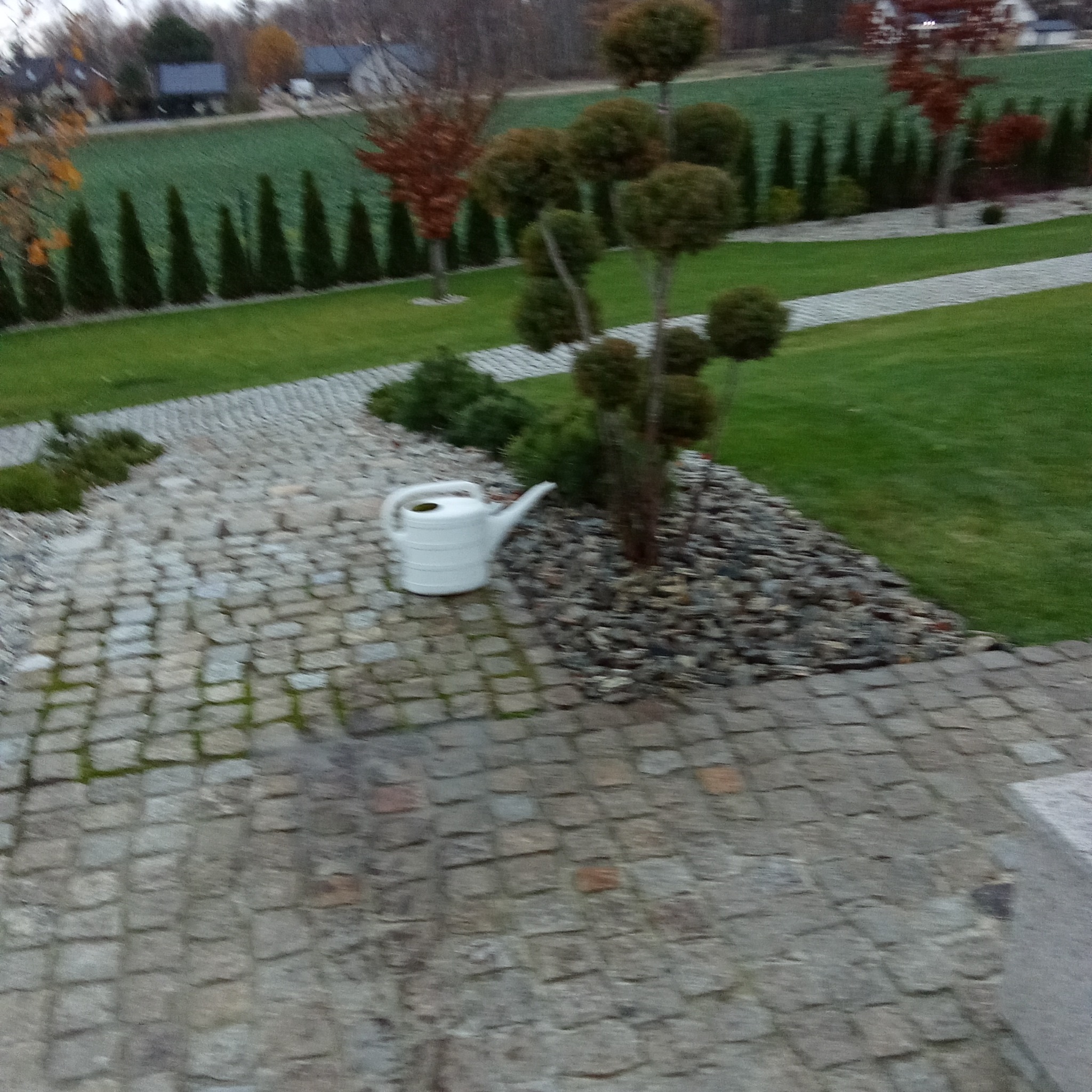 Ułożona kostka brukowa prowadząca do rabaty z kulistymi tujami i białą konewką, w tle rząd strzyżonych iglaków i trawnik.