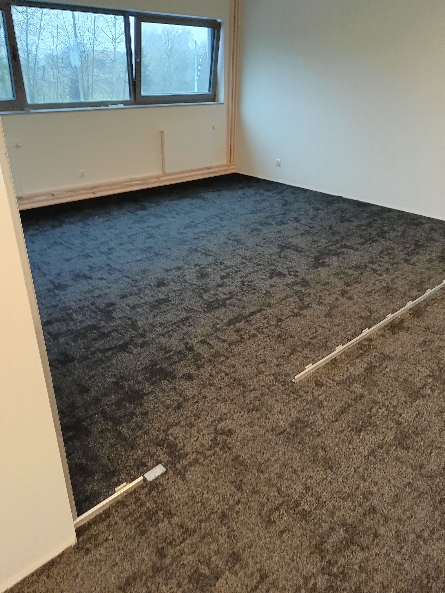 Pokój z położoną, ciemną wykładziną dywanową, widoczne listwy przypodłogowe i okno z widokiem na drzewa.