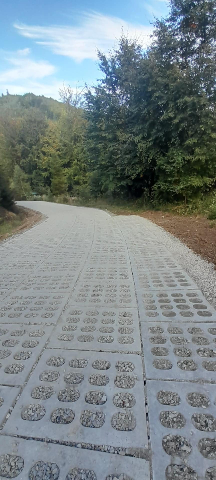 Szara, ażurowa droga z betonowych płyt wypełnionych kamieniami prowadząca przez las, widok z perspektywy pieszego.