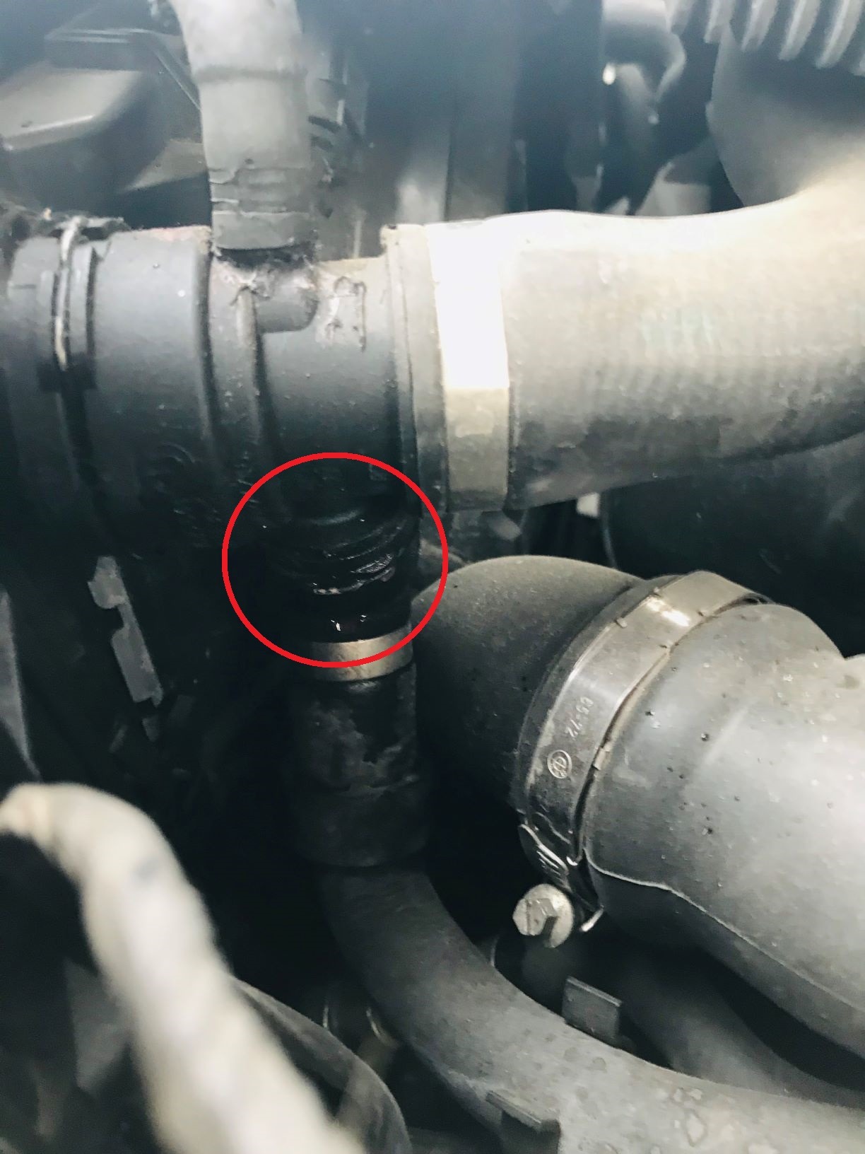 Wyciek płynu chłodniczego na złączu węża w komorze silnika, widoczna korozja i ślady płynu.