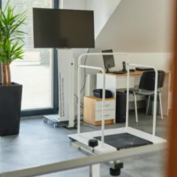 Nowoczesne gabinet rehabilitacyjny z platformą stabilometryczną Alfa, stanowiskiem komputerowym i rośliną doniczkową przy oknie.