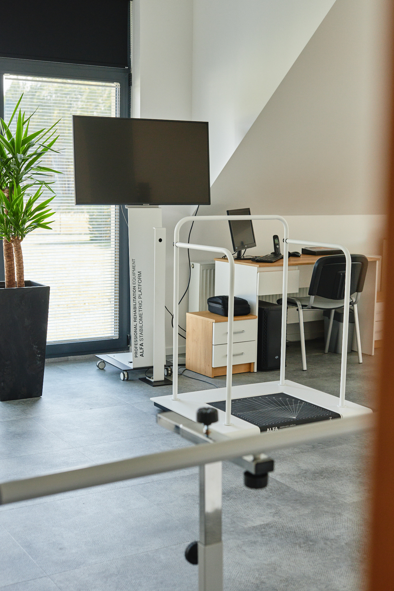 Nowoczesne gabinet rehabilitacyjny z platformą stabilometryczną Alfa, stanowiskiem komputerowym i rośliną doniczkową przy oknie.