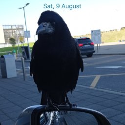 Pawel Ptak - Malowanie Ostrołęka