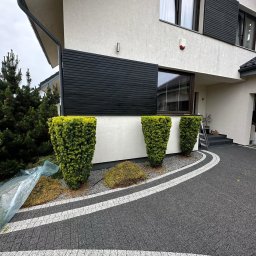 Ogro-Ben - Formowane krzewy iglaste przed nowoczesnym domem z ciemną elewacją, widoczny fragment posesji z kostki brukowej w szaro-białe pasy.