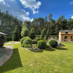 Ogro-Ben - Utrzymany trawnik z ozdobnymi krzewami i drzewami iglastymi, mały staw z kamieniami, dom z tarasem w tle, słoneczny dzień.