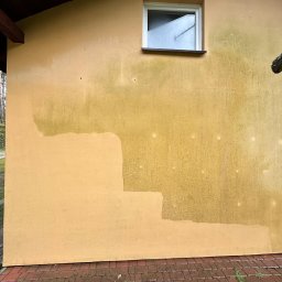 Ogro-Ben - Fragment żółtej ściany budynku z widocznymi śladami czyszczenia, dolna część ściany umyta, górna pokryta zielonym nalotem, widoczna kostka brukowa u podstawy.