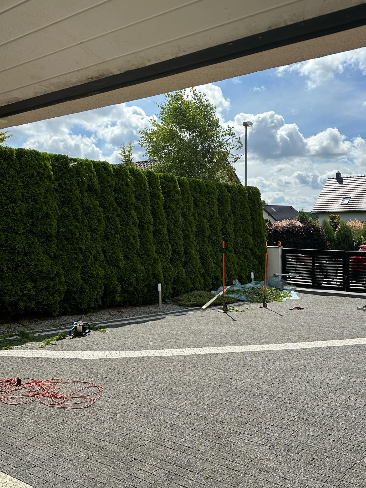 Równy szpaler zielonych tuj po przycinaniu, z rozłożoną folią zbierającą gałęzie, widok z zadaszonego podjazdu na posesję z bramą i domami w tle.
