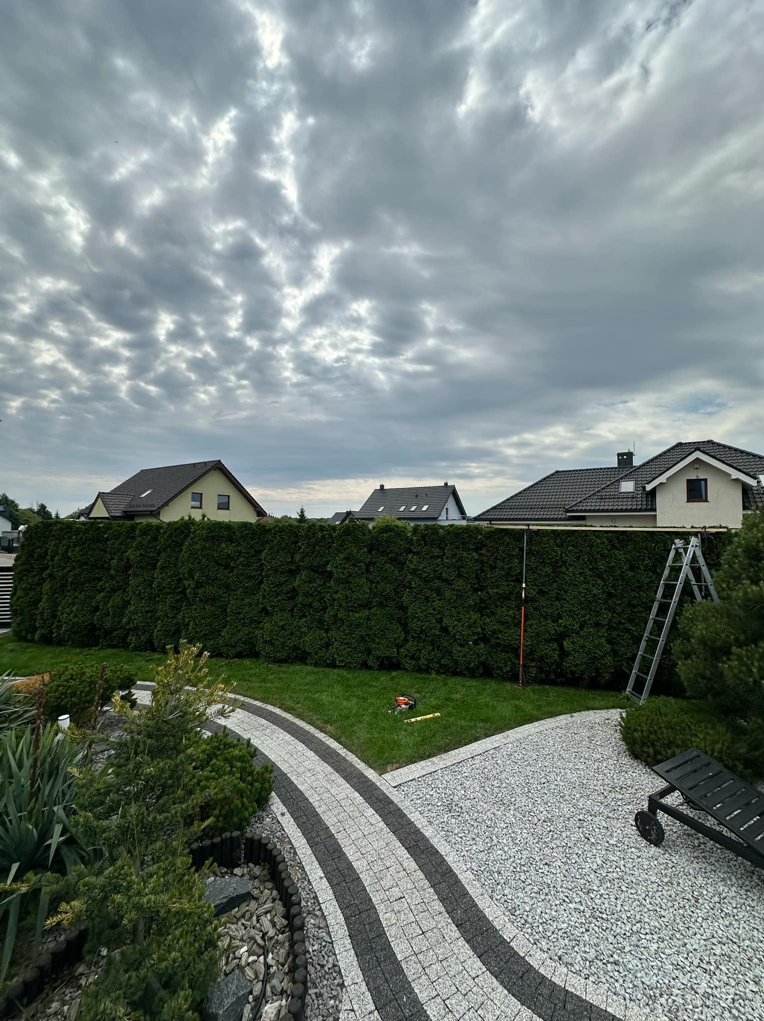 Wysoki, równo przycięty żywopłot z tui szmaragd, widoczna drabina i narzędzie do przycinania na trawniku, dekoracyjny chodnik z kostki brukowej w dwóch kolorach, pochmurne niebo.