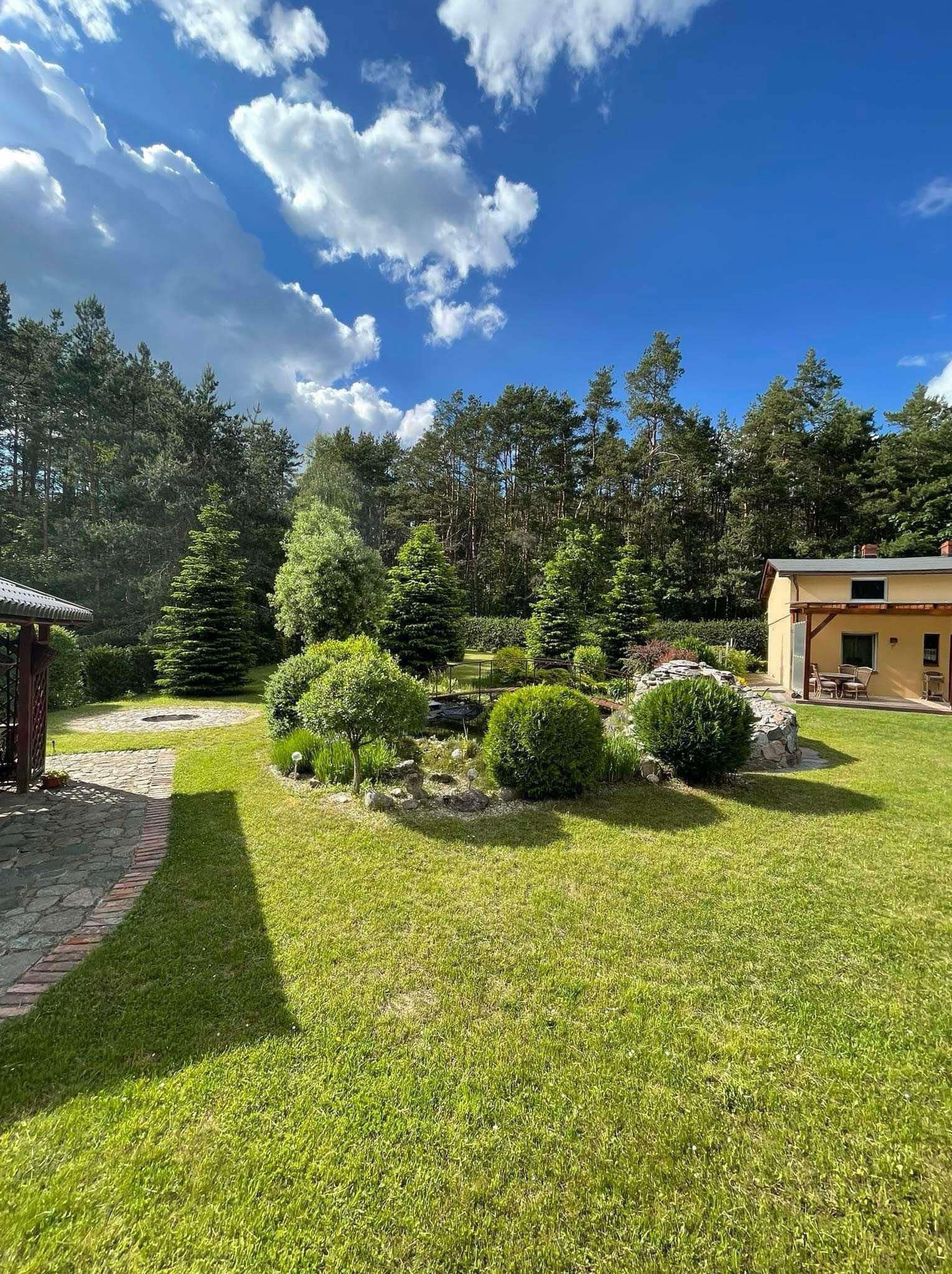 Utrzymany trawnik z ozdobnymi krzewami i drzewami iglastymi, mały staw z kamieniami, dom z tarasem w tle, słoneczny dzień.