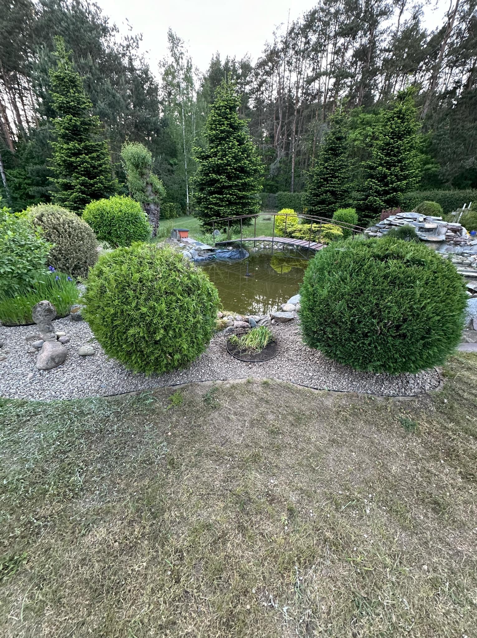 Ogród z okrągłymi krzewami, oczkiem wodnym z mostkiem i iglakami w tle, otoczony kamieniami i korą.