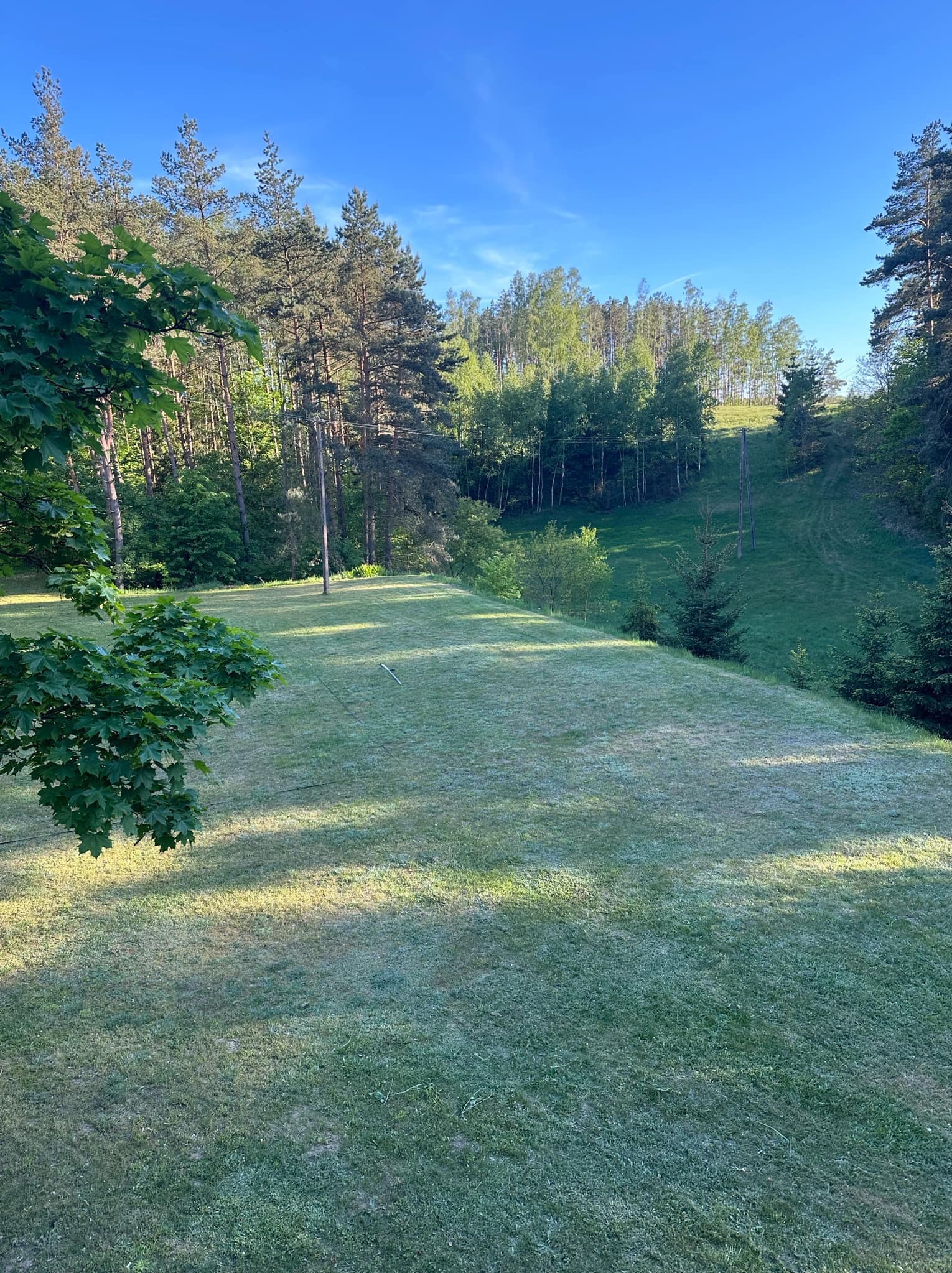 Rozległy trawnik z widocznymi śladami koszenia, otoczony lasem iglastym i liściastym, w słoneczny dzień.