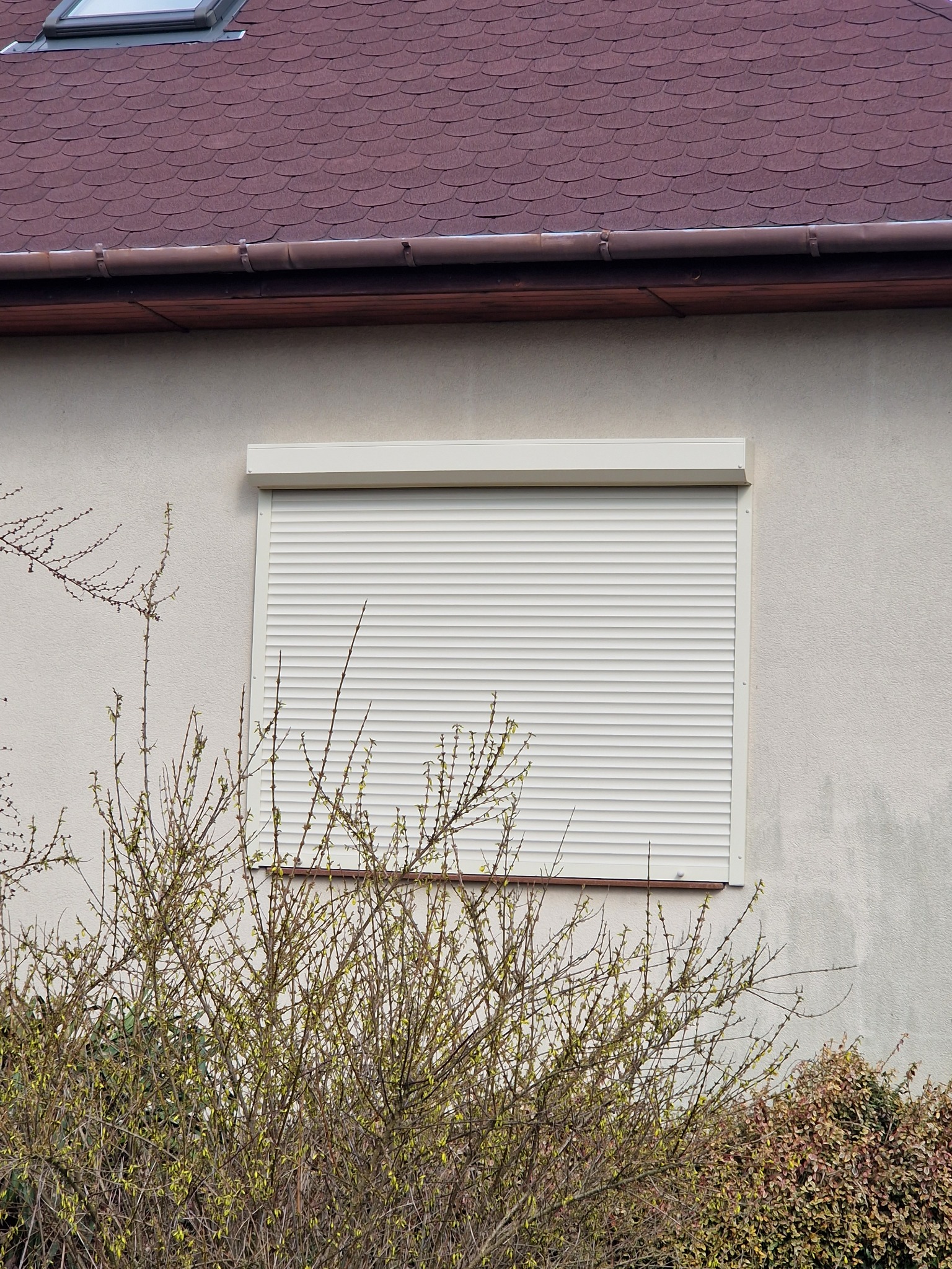 Zamknięta, kremowa roleta zewnętrzna na oknie domu jednorodzinnego, widoczna zza krzewów z młodymi pąkami.
