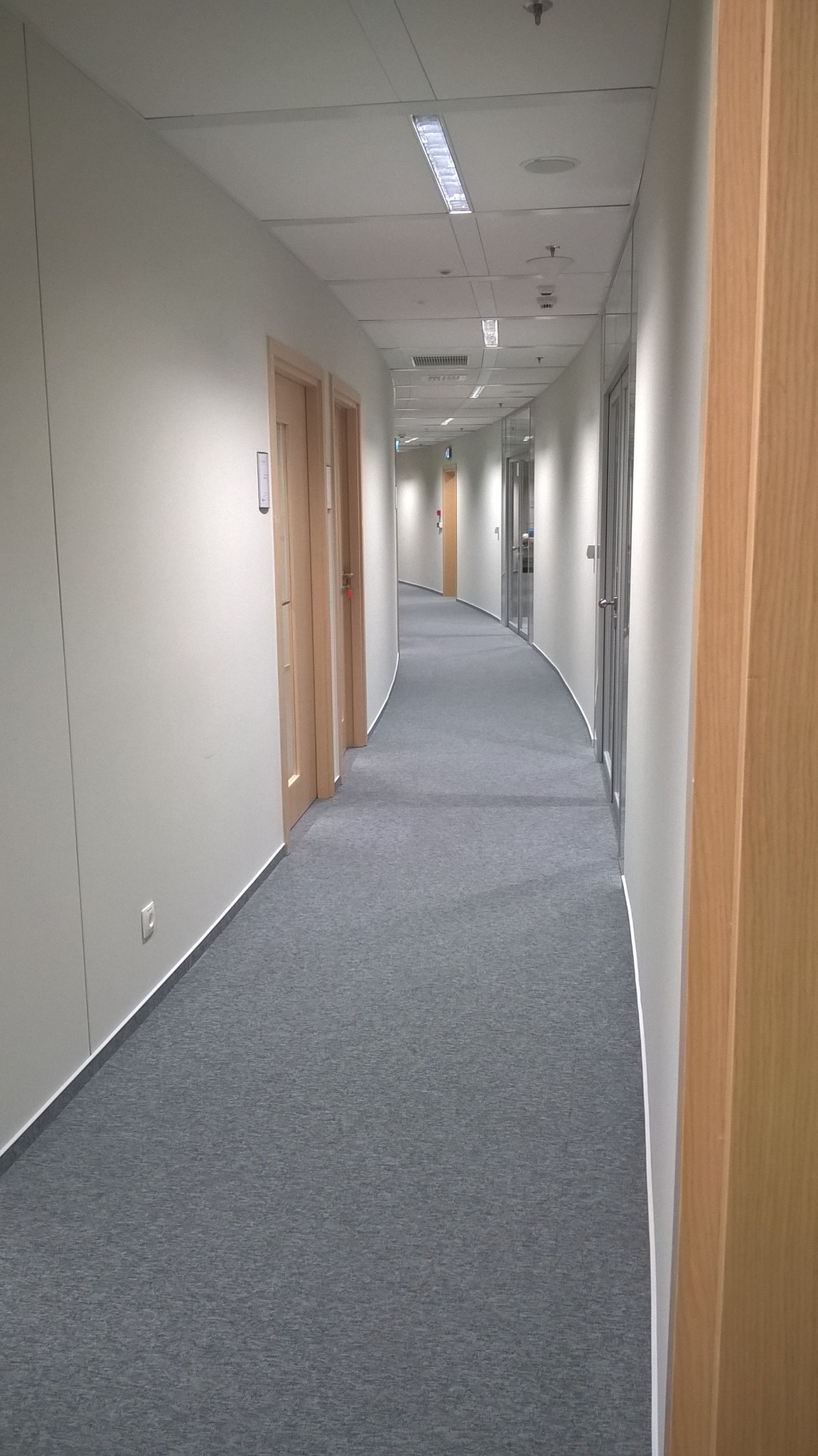 Długi, zakrzywiony korytarz biurowy z szarą wykładziną, jasnymi ścianami i drewnianymi drzwiami, oświetlony lampami sufitowymi.