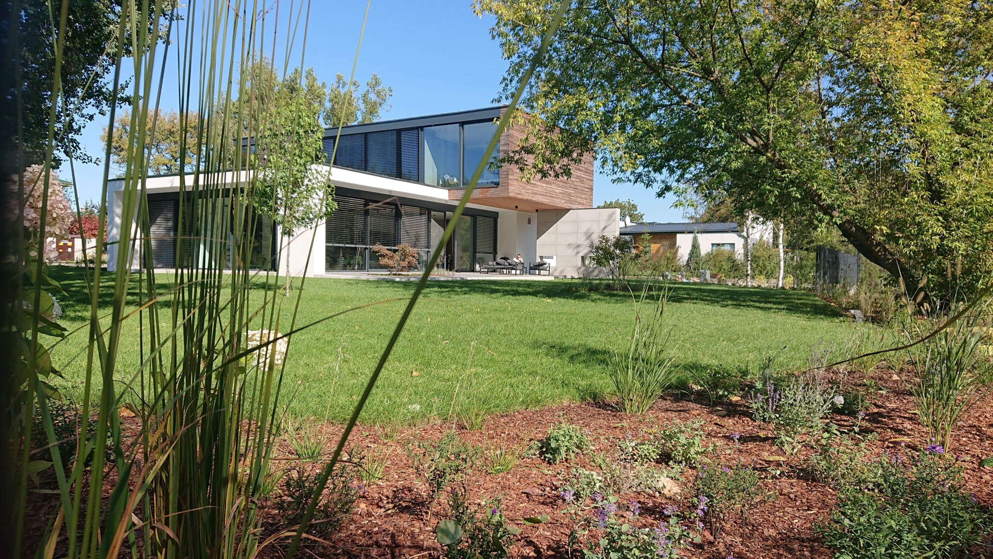 Nowoczesny dom z elementami drewna i dużymi przeszkleniami, widoczny z perspektywy ogrodu z ozdobnymi trawami i rabatami kwiatowymi.
