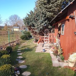 Usługi ogólnobudowlane - Świeżo pomalowany domek narzędziowy w Przemyślu, z drabiną i puszką farby. Widoczne drzewa iglaste i ścieżka z kamieni. Słoneczny dzień, błękitne niebo.