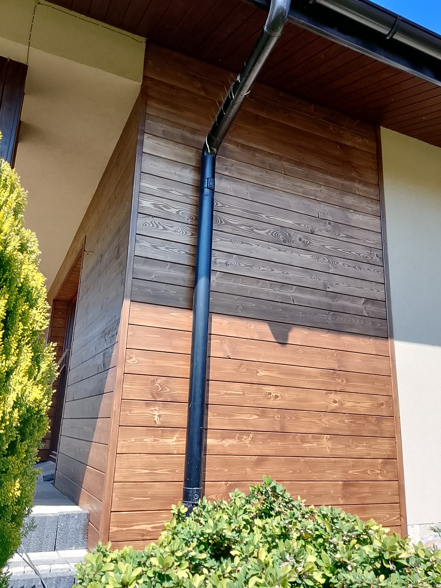 Drewniana elewacja domu z czarną rynną, widok z dołu. Część elewacji w ciemniejszym odcieniu. Krzewy w dole kadru i fragment zielonego iglaka.