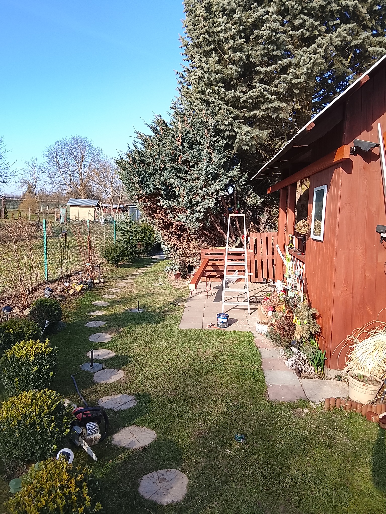 Świeżo pomalowany domek narzędziowy w Przemyślu, z drabiną i puszką farby. Widoczne drzewa iglaste i ścieżka z kamieni. Słoneczny dzień, błękitne niebo.