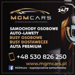 PLATINIUM ERGOLINE MATEUSZ GMEREK - Transport Drogowy Zgorzelec