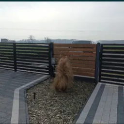 Nowoczesna brama wjazdowa i furtka z poziomych profili, uzupełnione drewnianym ogrodzeniem, z automatyką, na podjeździe z kostki brukowej