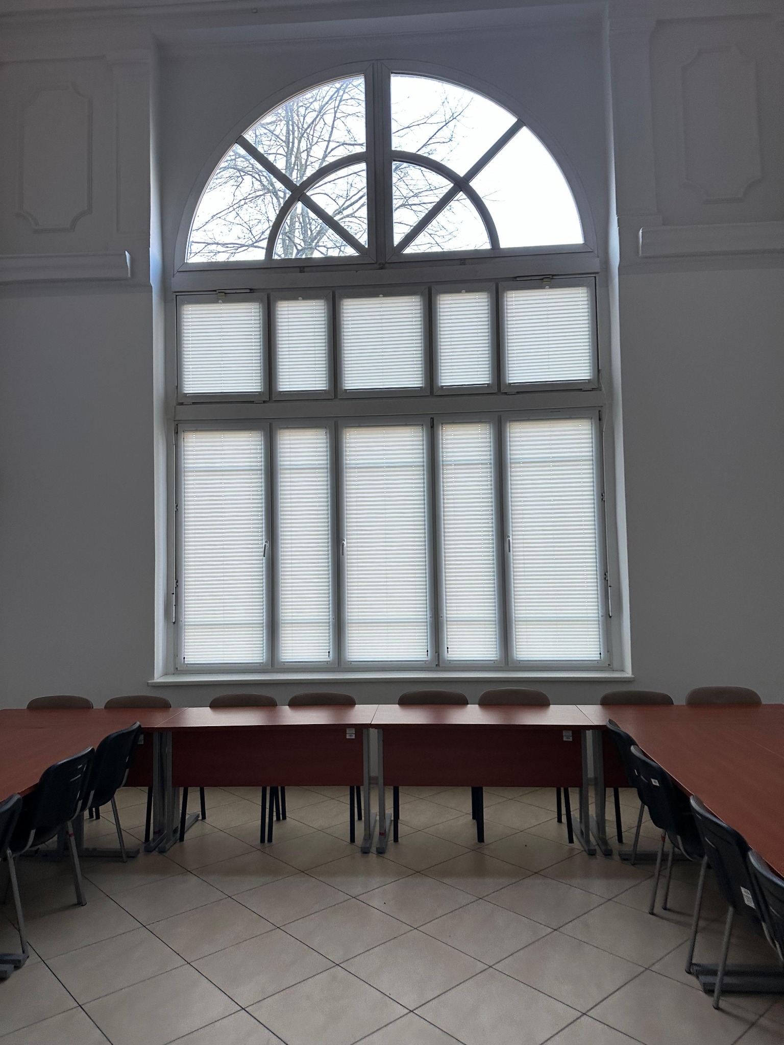 Wysokie okno z plisowanymi osłonami w sali konferencyjnej, widok na drzewo za oknem.