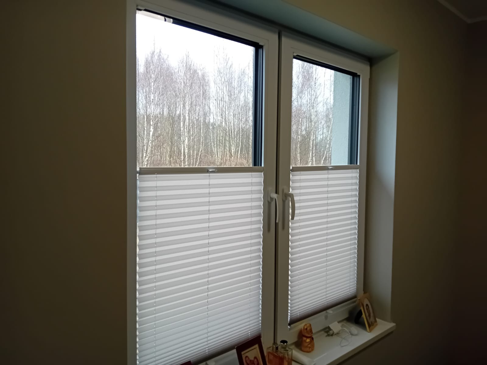 Białe plisy zamontowane w oknie PCV, widok na zewnątrz na drzewa bez liści, parapet z dekoracjami.