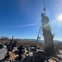 Dachy Grzesicki - Usuwanie drzewa na cmentarzu z użyciem dźwigu, dwóch pracowników w kaskach i uprzężach, widok z dołu na tle błękitnego nieba i nagrobków.