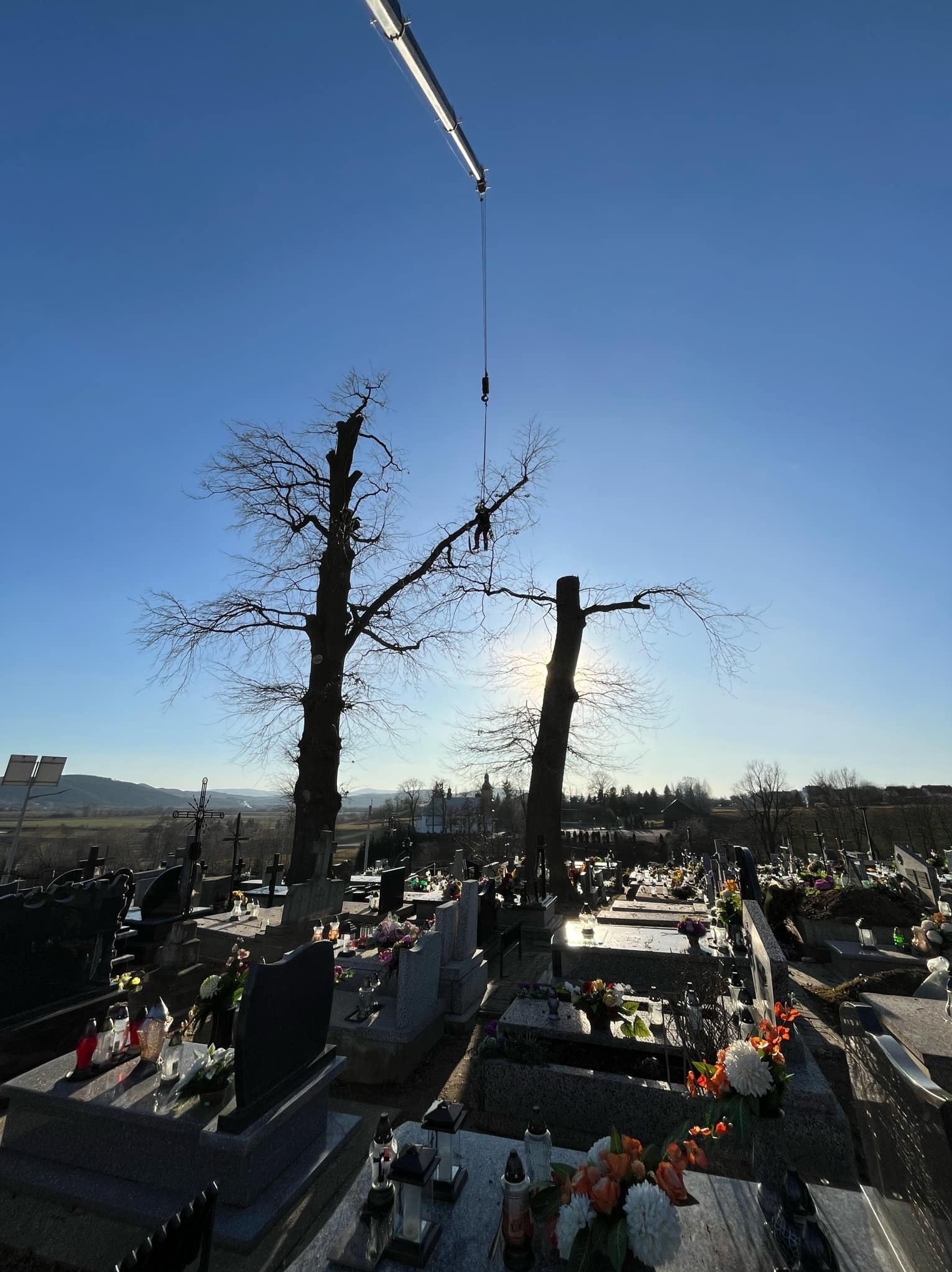 Pracownik na wysokości, zabezpieczony linami, w trakcie usuwania gałęzi drzewa na cmentarzu, z użyciem dźwigu; w tle nagrobki i błękitne niebo.