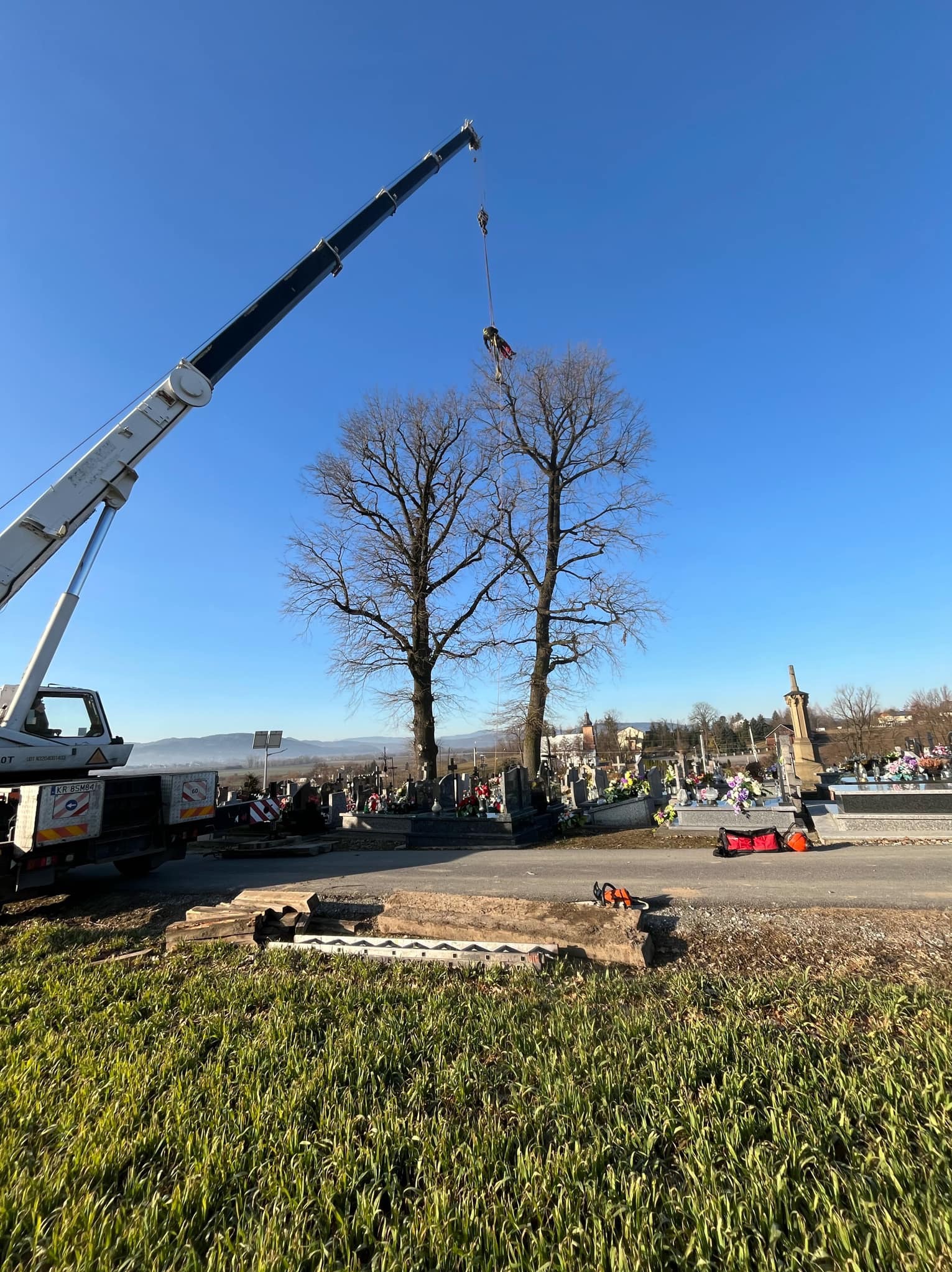 Pracownik na linie podwieszony do dźwigu, usuwa gałęzie z wysokich drzew na cmentarzu w słoneczny dzień.